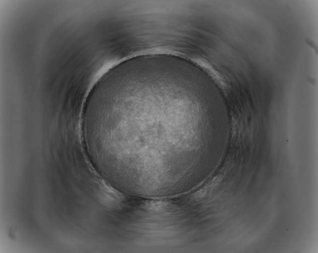 X0000091481278200708231352