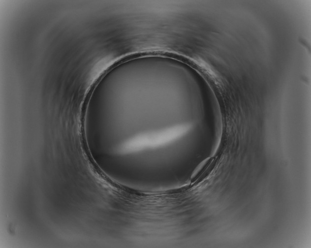 X0000091481279200708231352