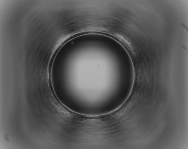 X0000091481280200708231352