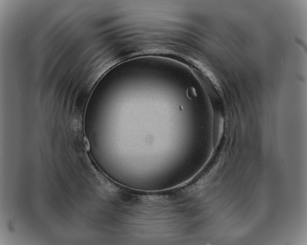 X0000091481281200708231352