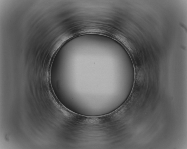 X0000091481282200708231352