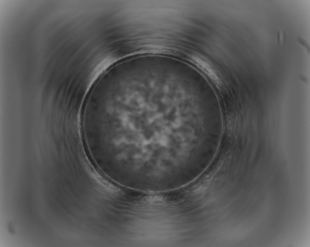 X0000091481283200708231352