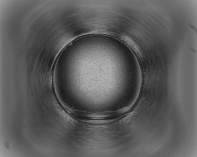 X0000091481284200708231352