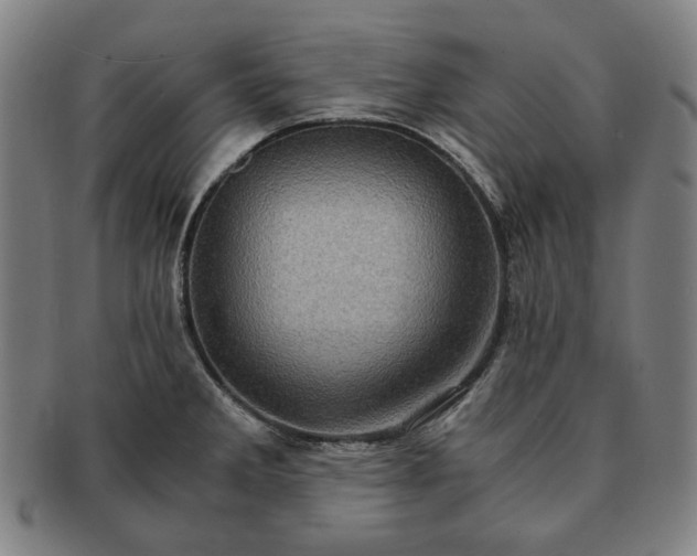 X0000091481285200708231352