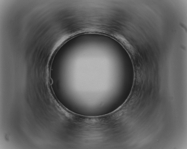 X0000091481286200708231352