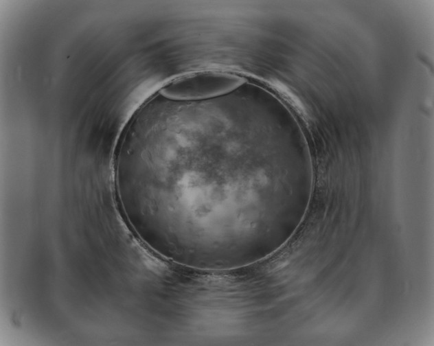 X0000091481287200708231352