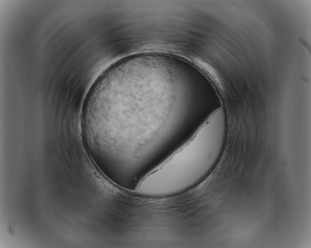 X0000091481288200708231352