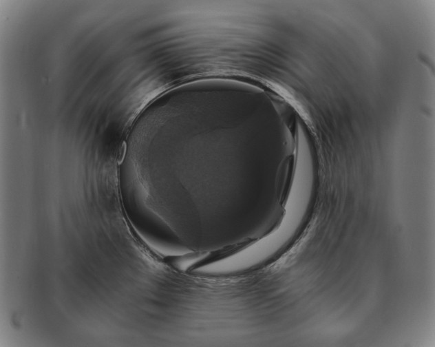 X0000091481289200708231352