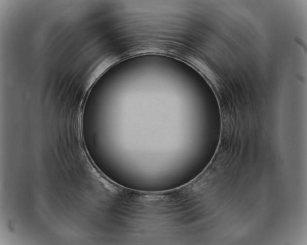 X0000091481290200708231352