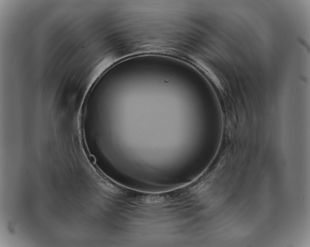 X0000091481291200708231352