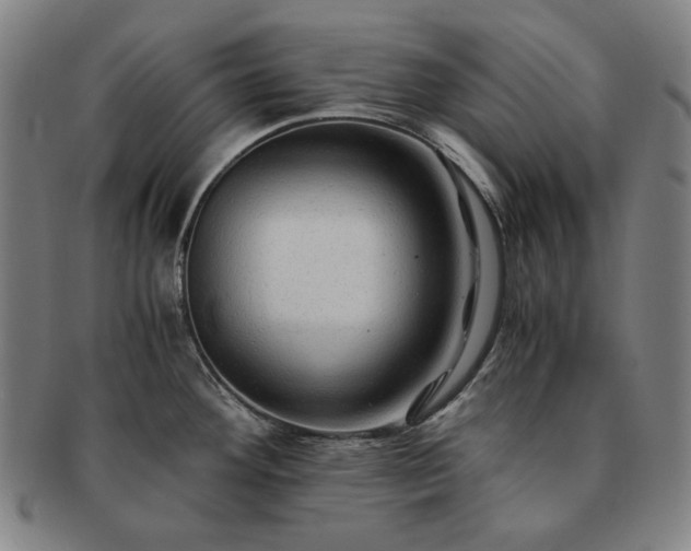 X0000091481292200708231352