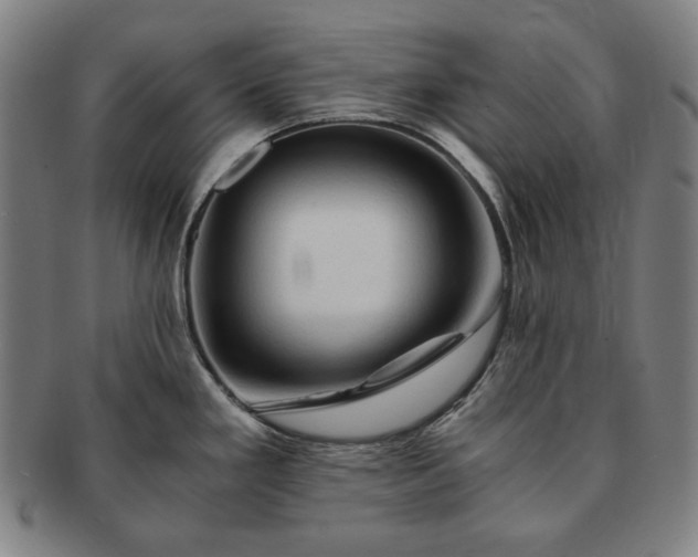 X0000091481293200708231352