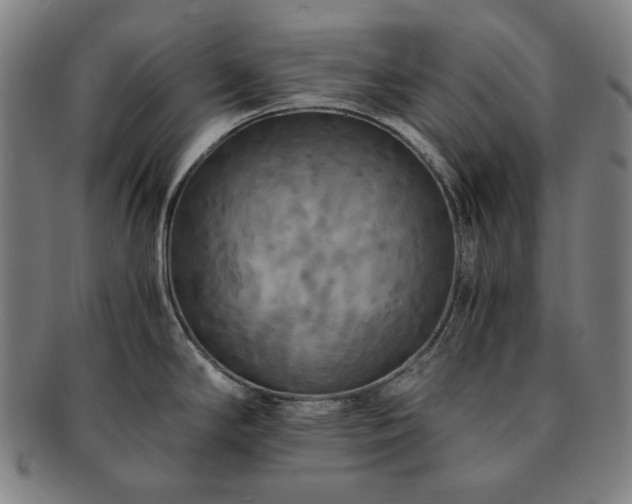 X0000091481294200708231352