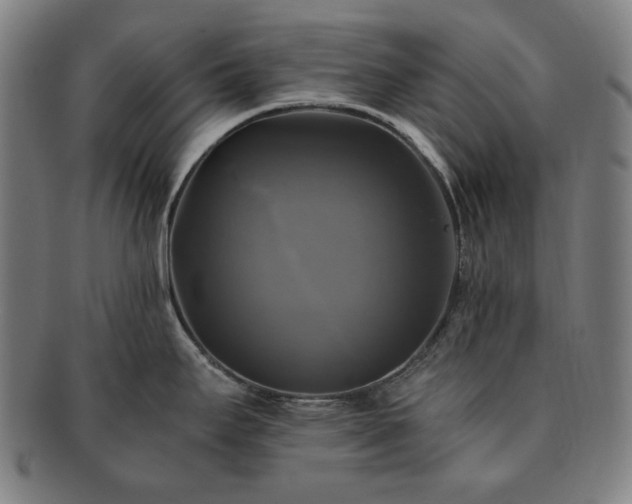 X0000091481295200708231352