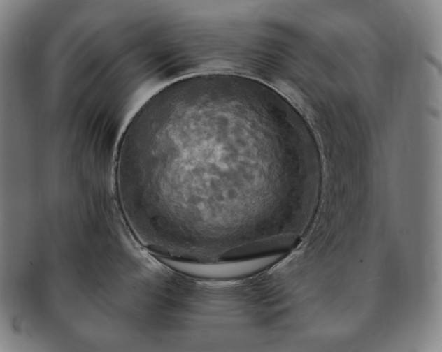 X0000091481296200708231352