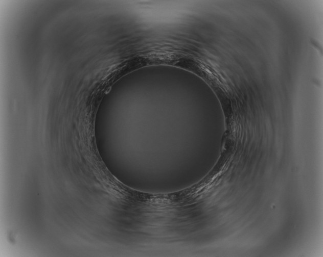 X0000091481297200708231351