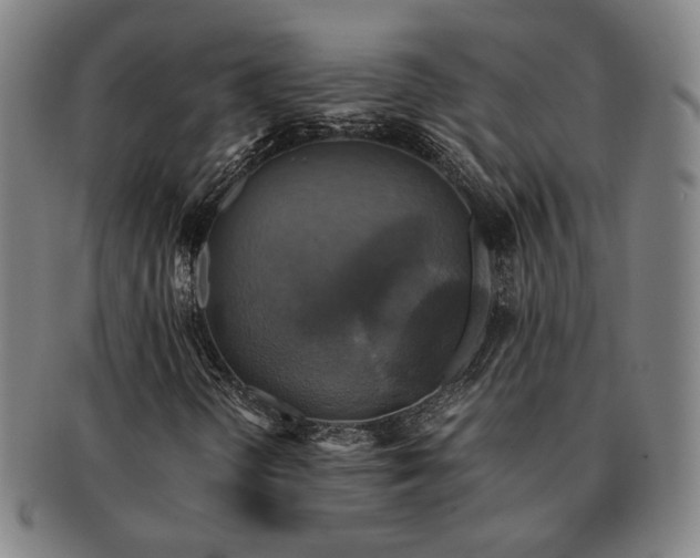 X0000091481298200708231351