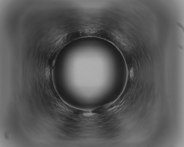 X0000091481299200708231351