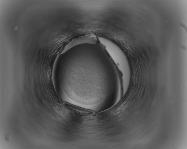 X0000091481300200708231351