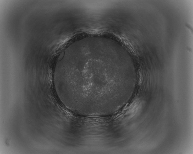 X0000091481301200708231351