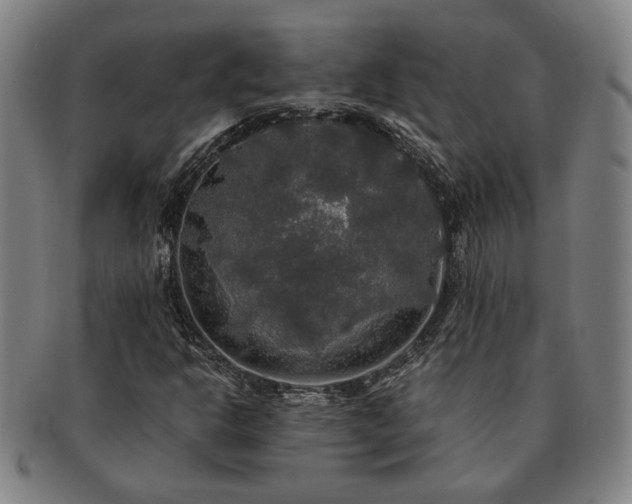 X0000091481302200708231351