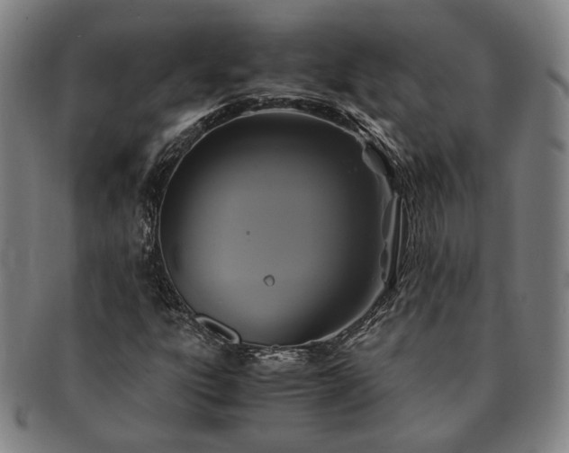 X0000091481303200708231351