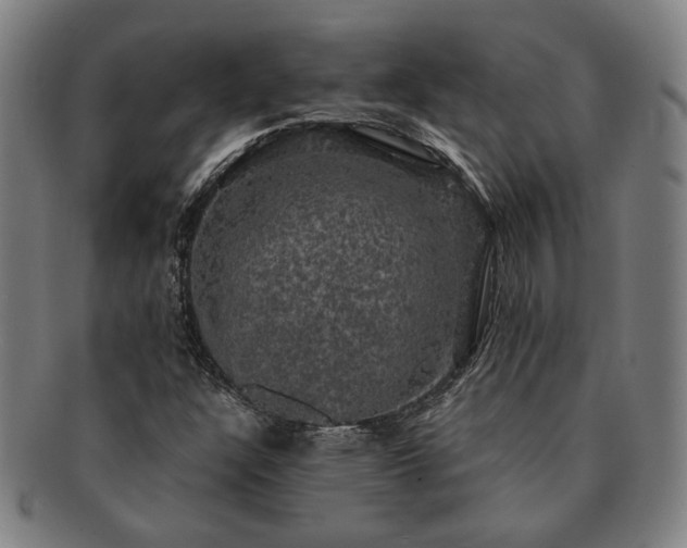 X0000091481304200708231351