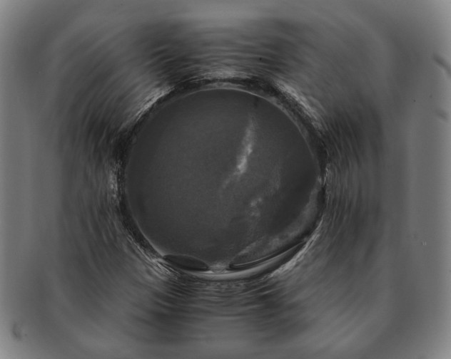 X0000091481305200708231351