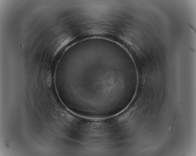 X0000091481306200708231351