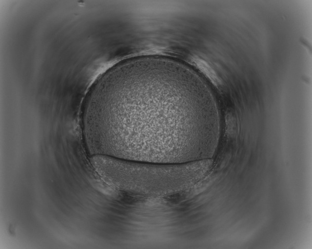 X0000091481308200708231351