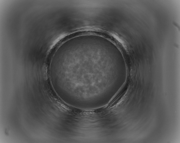 X0000091481310200708231351