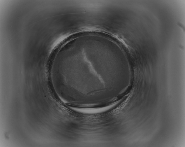 X0000091481311200708231351