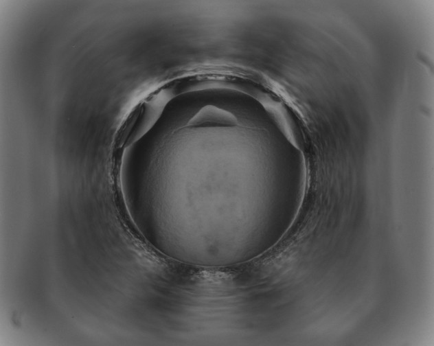 X0000091481312200708231351