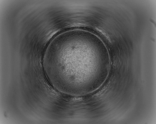 X0000091481313200708231351