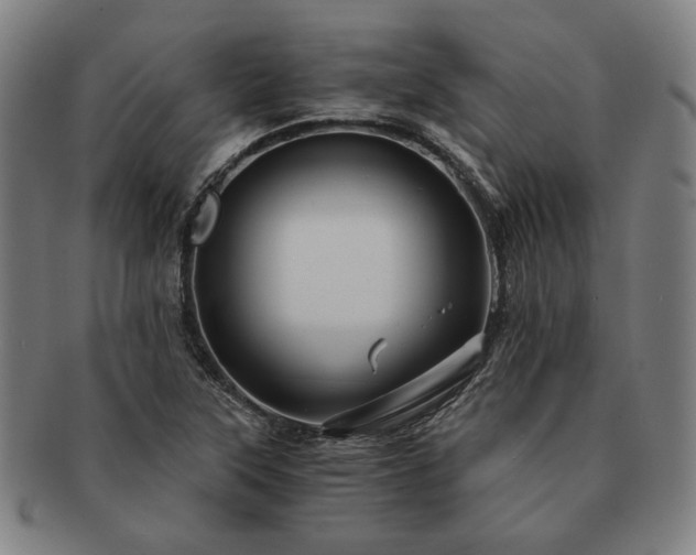 X0000091481315200708231351