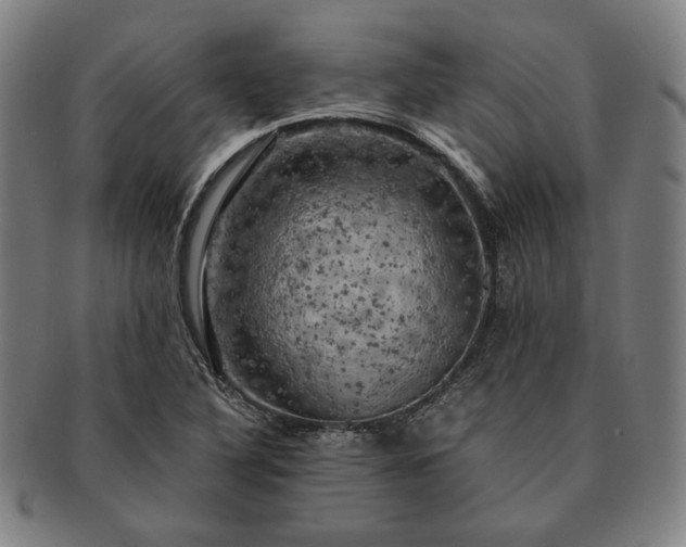 X0000091481316200708231351