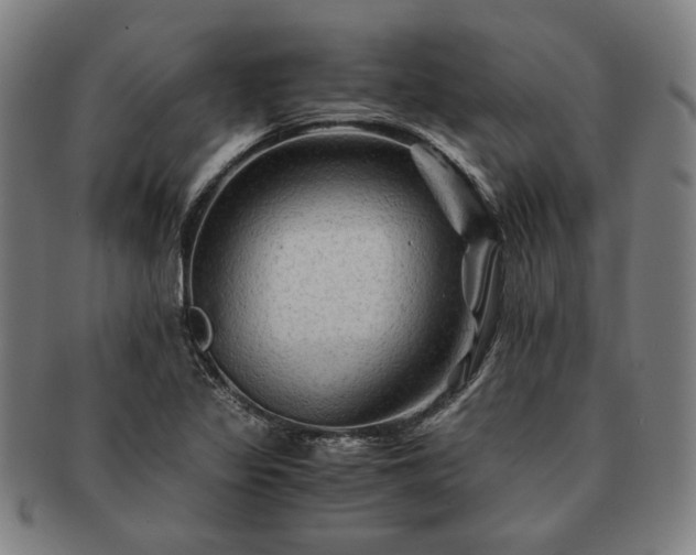 X0000091481317200708231351