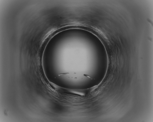 X0000091481318200708231351