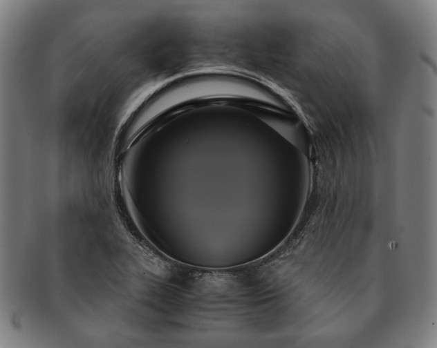 X0000091481319200708231351