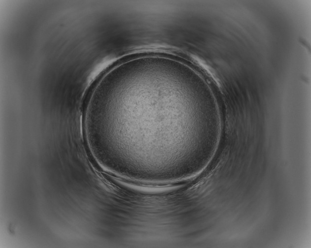 X0000091481320200708231351