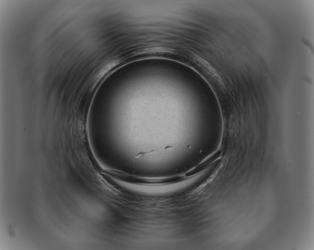 X0000091481321200708231351