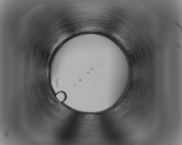 X0000091481322200708231351