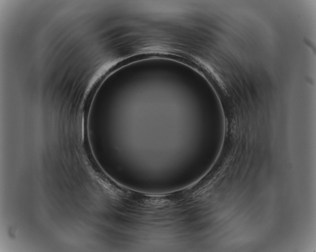 X0000091481323200708231351