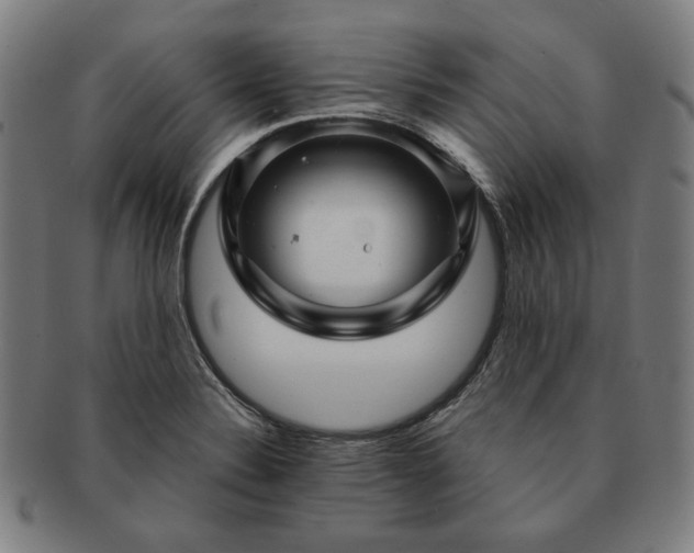 X0000091481324200708231352