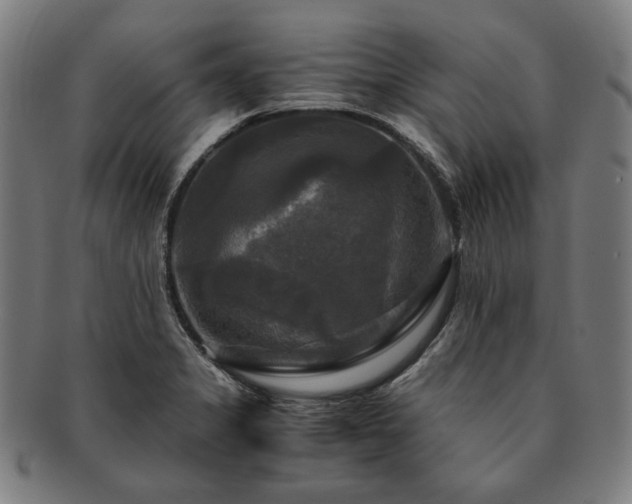 X0000091481325200708231352