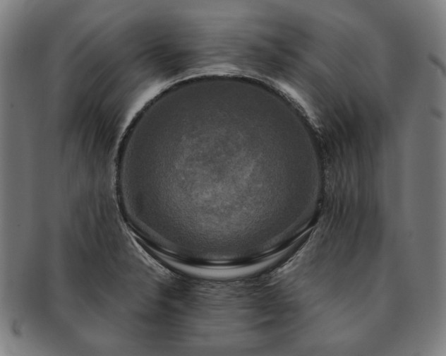 X0000091481326200708231352