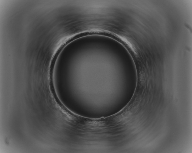 X0000091481327200708231352