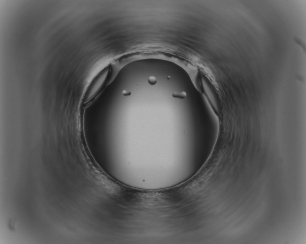 X0000091481328200708231352