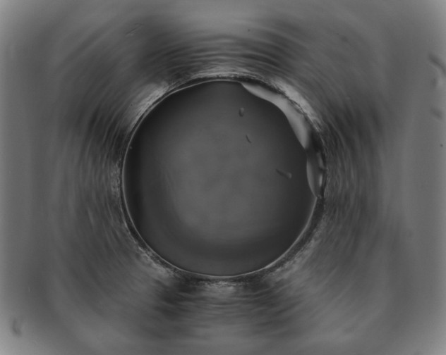 X0000091481329200708231352