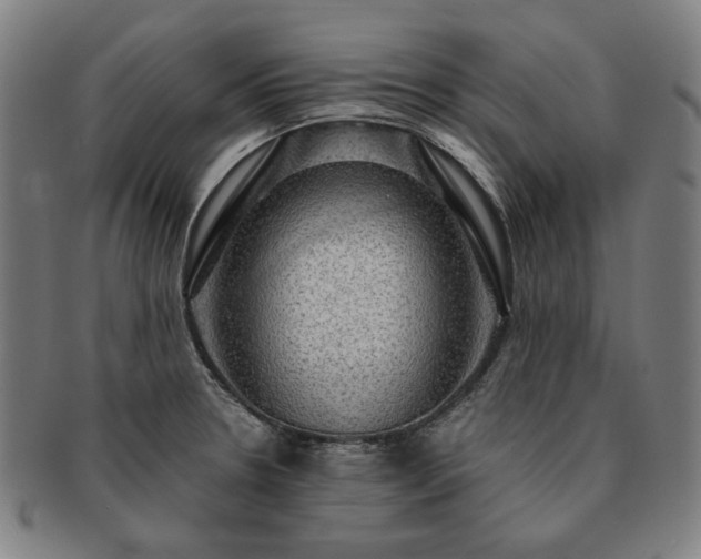 X0000091481330200708231352